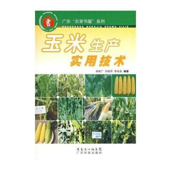 玉米生產實用技術