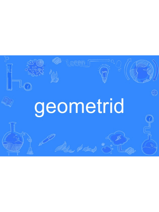 geometrid