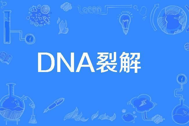 DNA裂解