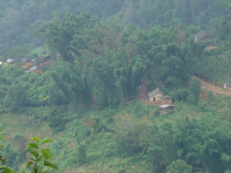 冷水溝自然村(雲南臨滄鎮康縣忙丙鄉新水村委冷水溝自然村)