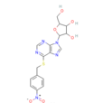 S-（4-硝基苄基）-6-硫肌苷