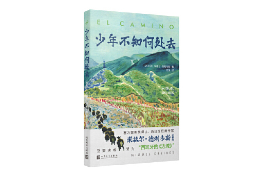 少年不知何處去(2024年人民文學出版社出版的圖書)