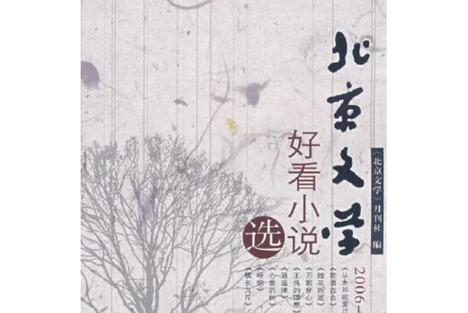 《北京文學》2006～2007年好看小說選