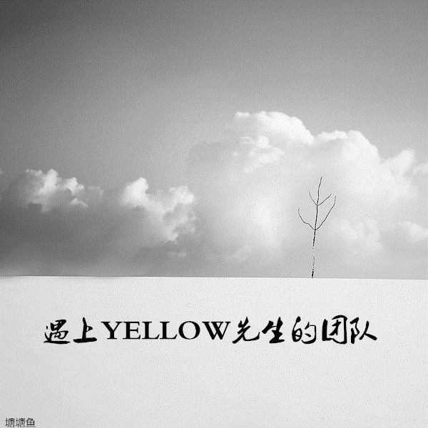 遇上YELLOW先生的團隊