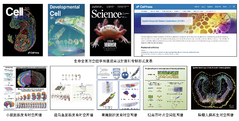 2022年度中國生命科學十大進展