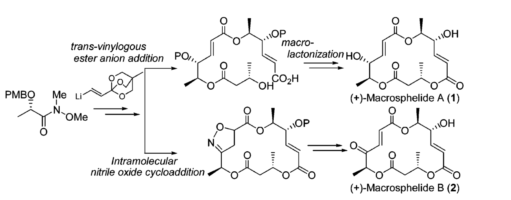 Weinreb醯胺在(+)-Macrosphelides A and B合成中的套用