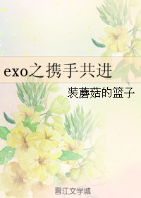 exo之攜手共進