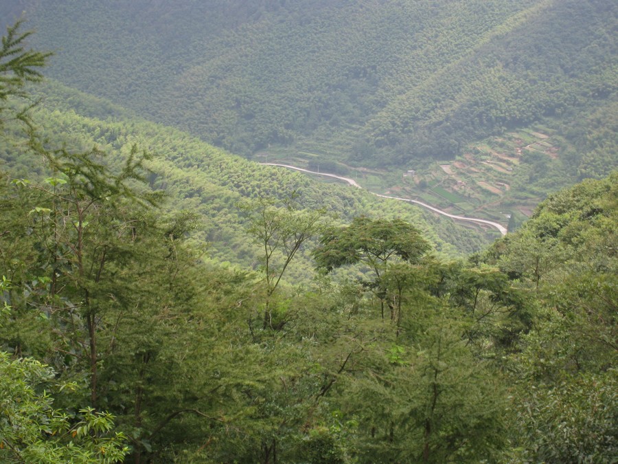 下山坑古道