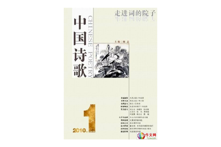 中國詩歌(2010年人民文學出版社出版的圖書)