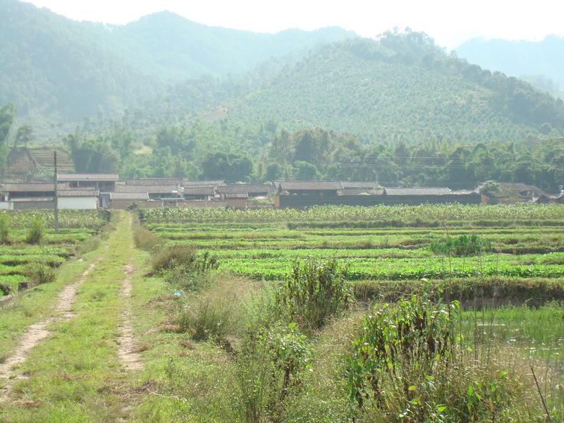 龍家營村(雲南普洱景東縣文井鎮下轄村)