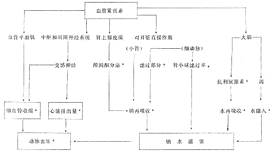 口渴原理圖