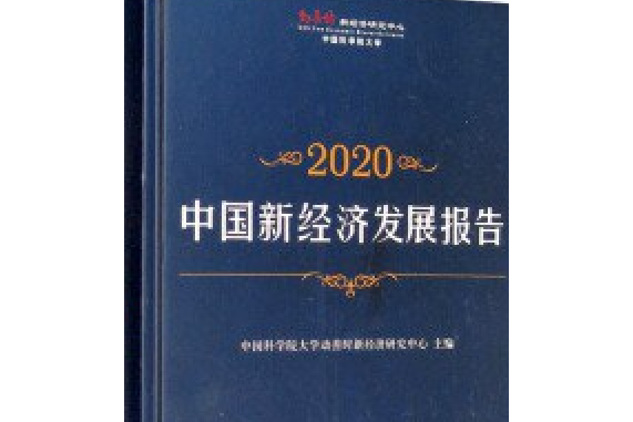 中國新經濟發展報告2020