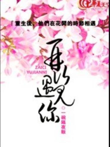 再次遇見你(一碗隔夜飯所著小說)