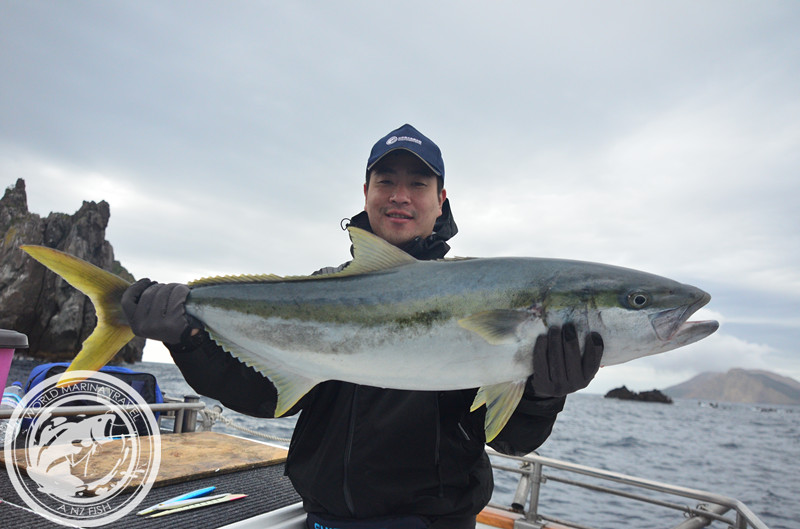 大魚俱樂部