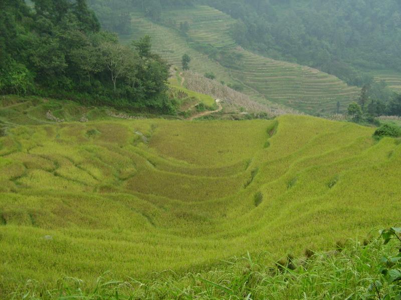 媽卡波老寨村