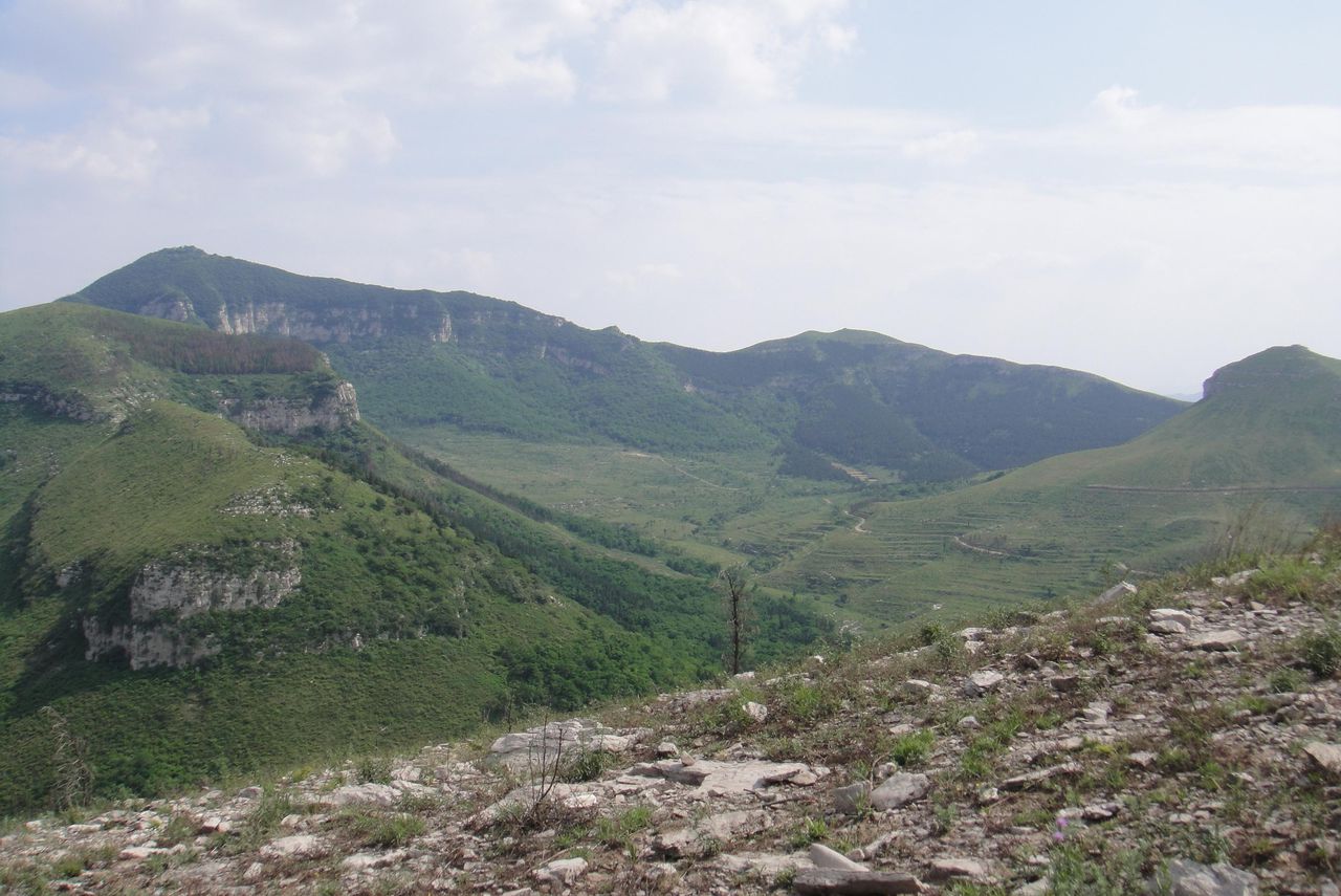 胡山林場