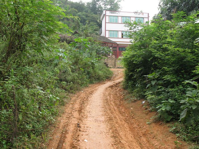 入村道路