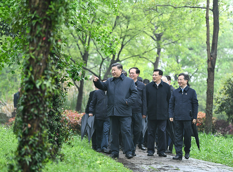 習近平總書記視察西溪國家濕地公園