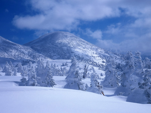 泡罕里山