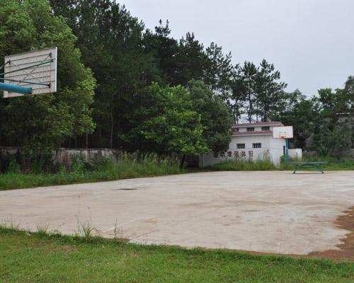 塘嶺村(江西宜豐縣棠浦鎮下轄村)