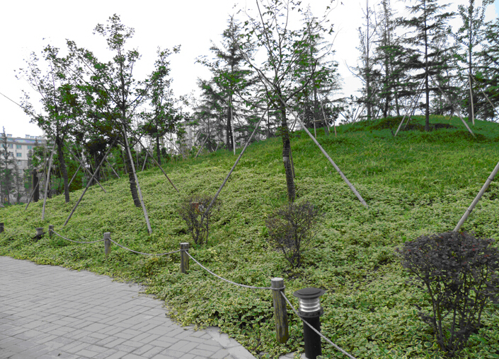 淺水灣水上公園