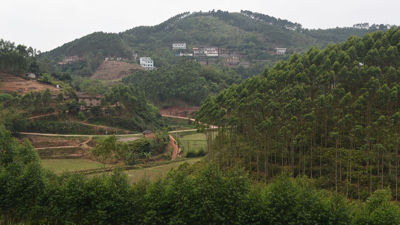 飛灑村景色