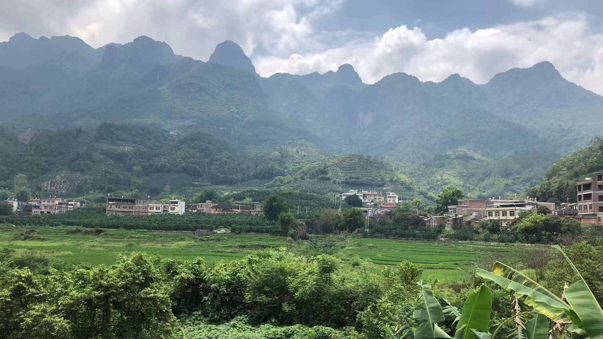 東川村(福建漳州平和縣安厚鎮東川村)