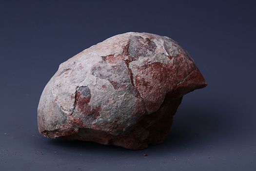 白堊紀恐龍蛋化石(茂名市博物館藏品之三十二)