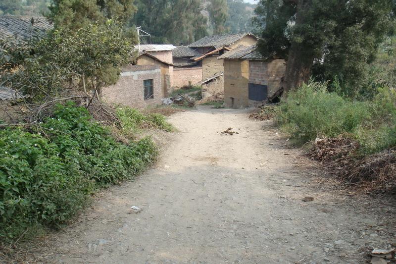 進村道路