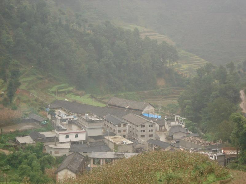 水箐村(雲南省牟定縣鳳屯鎮颯馬場村委會水箐村)