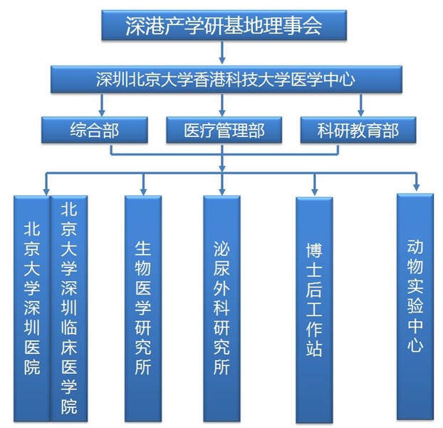 組織架構