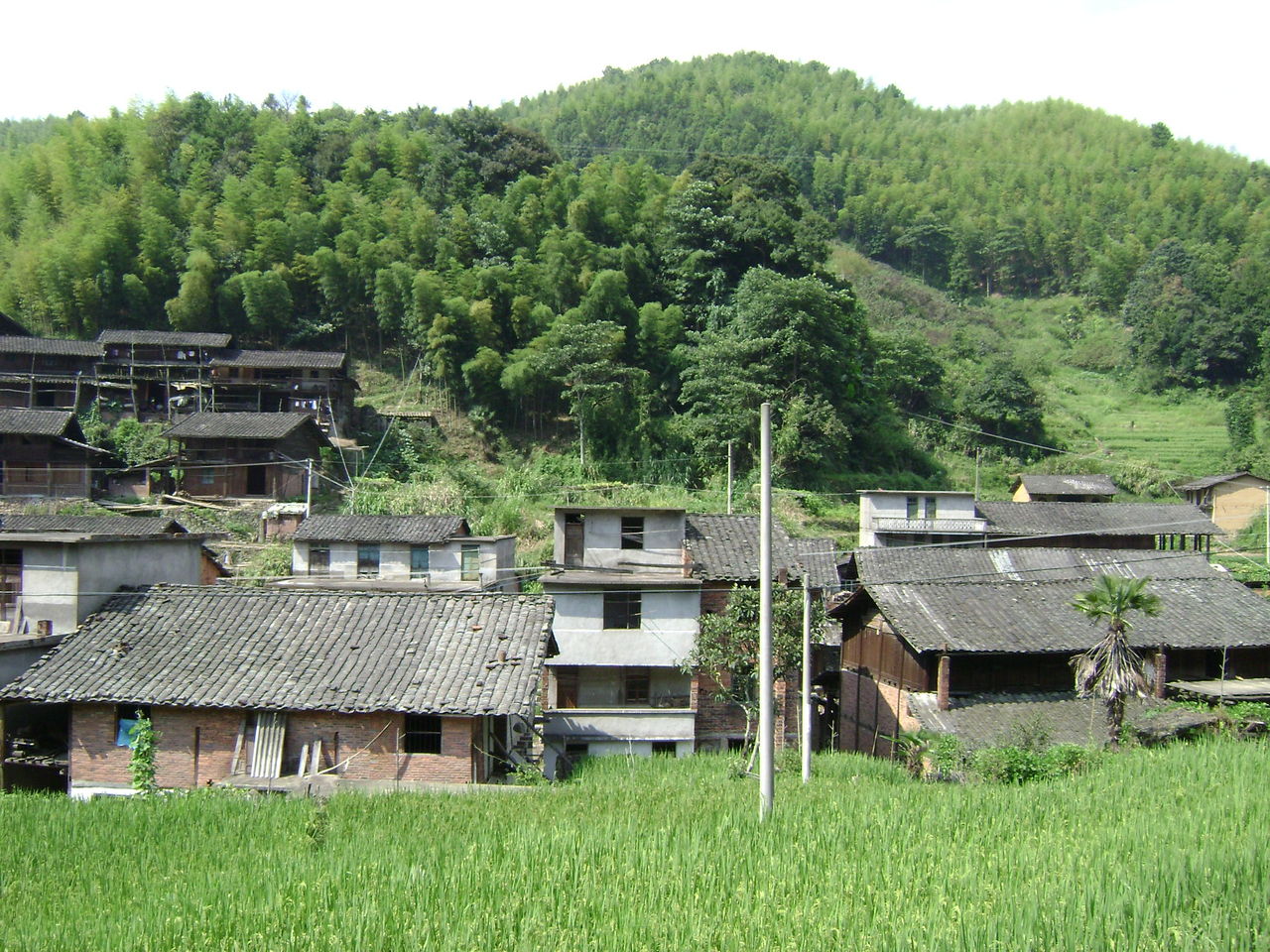 南平市水南街道玉地村