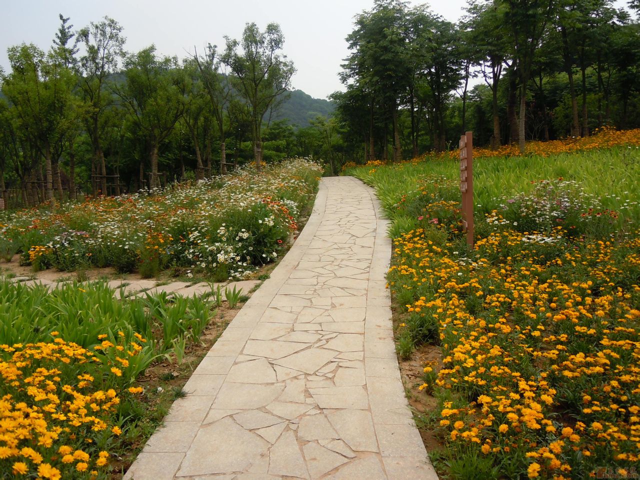 無錫寶界山林公園(寶界山林公園)