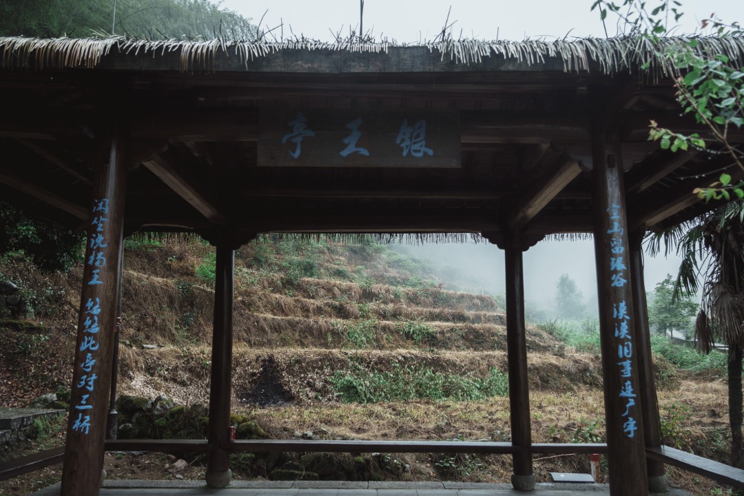 雲和梯田景區