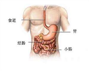 炔諾孕酮可以引起胃腸的紊亂