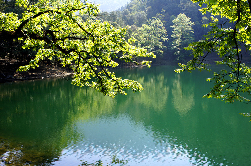 黑龍海子森林公園