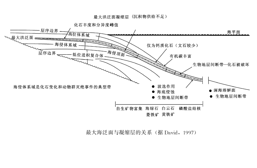 凝縮層