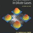 Bose-Einstein Condensation in Dilute Gases