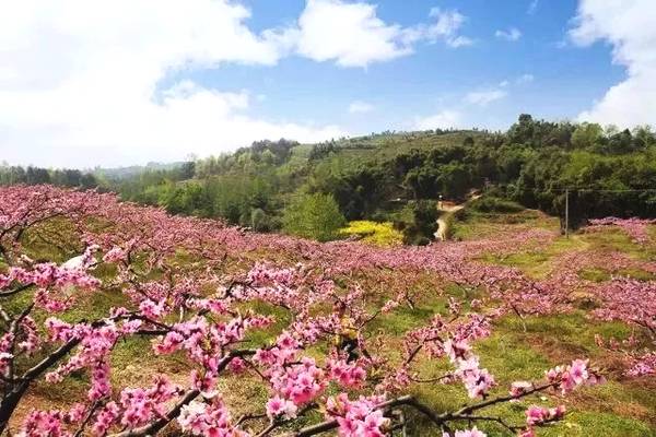 桃花山(安徽省廣德縣桃花山)