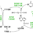 呋喃氨基嘌呤