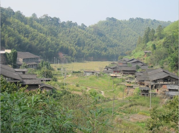 前山村(山東省煙臺市海陽留格莊鎮下轄村)