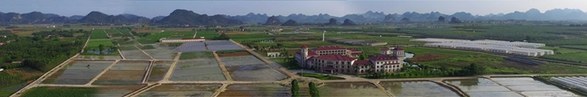 廣西壯族自治區農業科學院