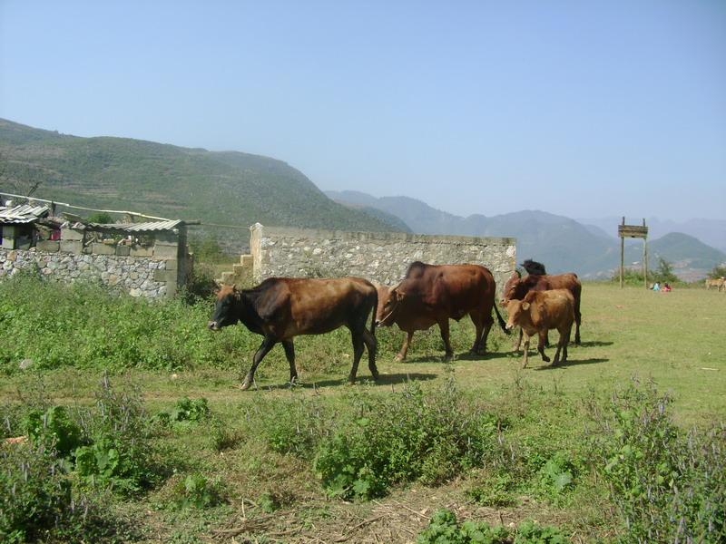 尖山自然村