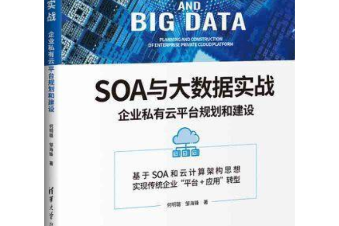 SOA與大數據實戰：企業私有雲平台規劃和建設