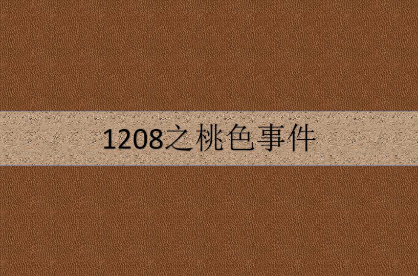 1208之桃色事件