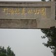 打漁張森林公園