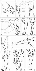 退步穴位