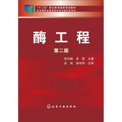 酶工程(2014年化學工業出版社出版的圖書)