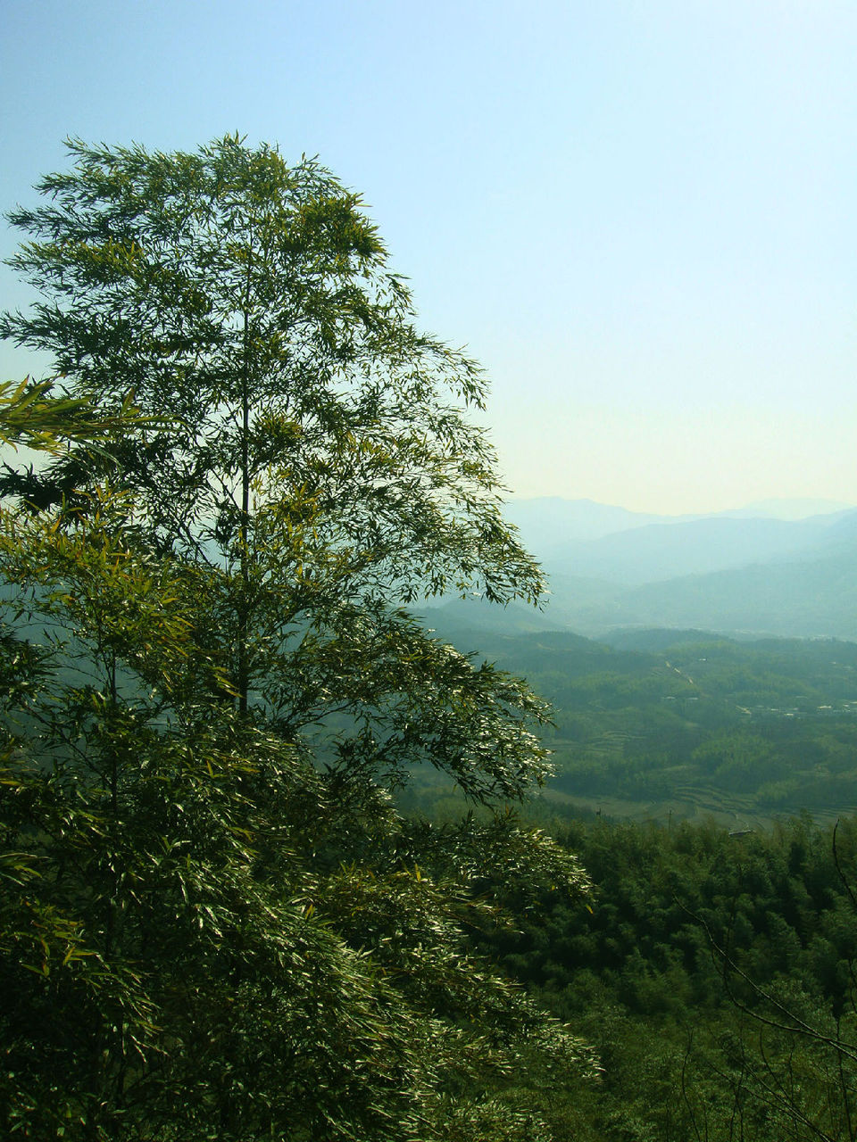 試驗區西九華山風光