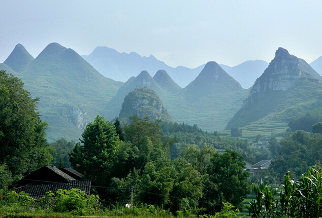 金鼎山鎮